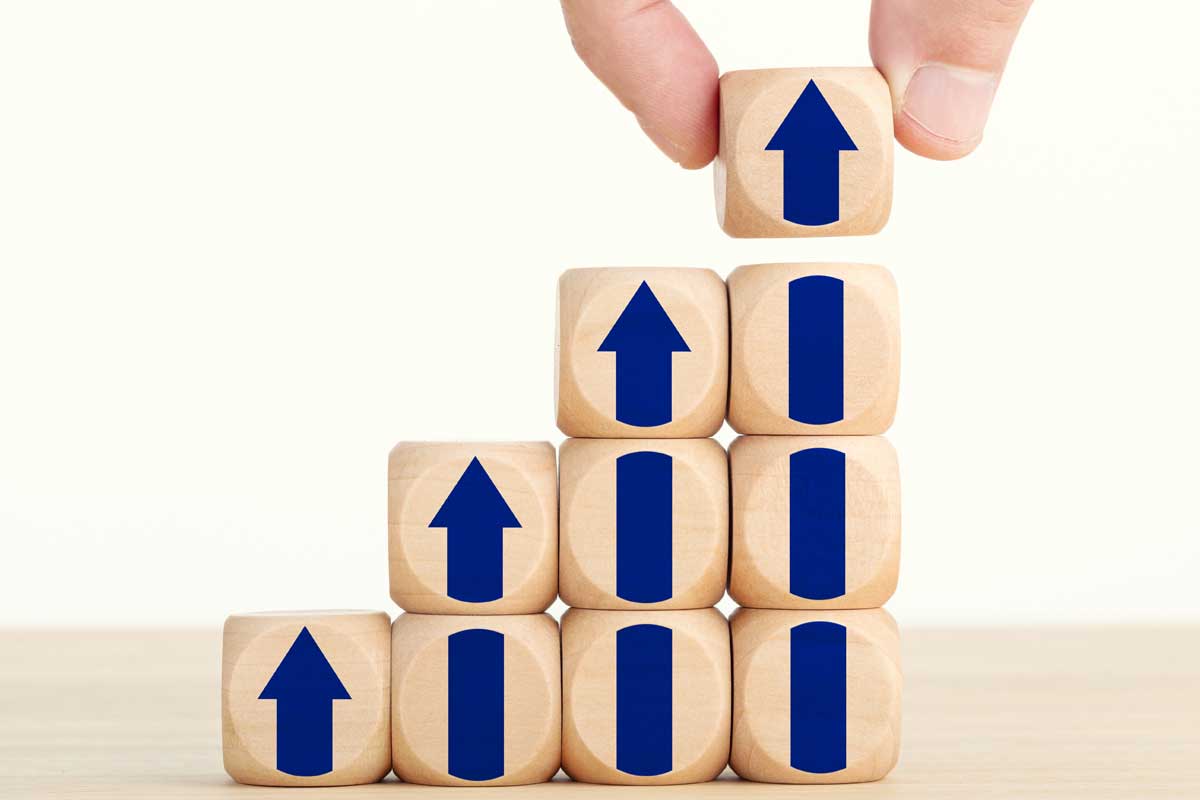 Organic Growth Strategies UAE for Long-Term Success