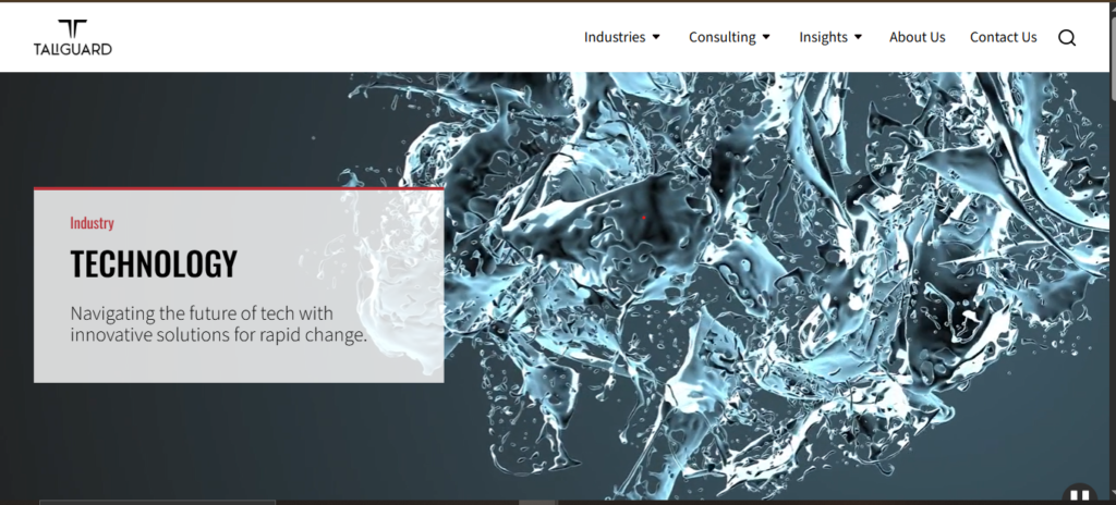 taliguard project brief